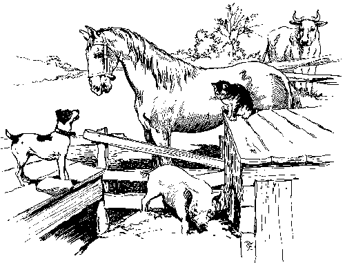 horse & pigs